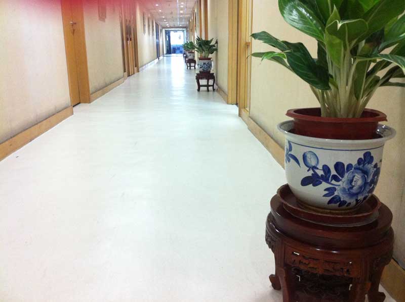 中国广告联合总公司办公室香蕉视频污版免费下载 中国广告联合总公司办公室香蕉视频污版免费下载