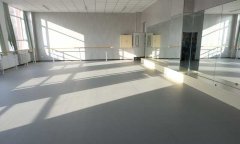 河北石家庄荔枝纹运动香蕉视频污版免费下载