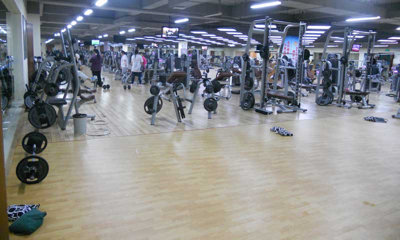 北京体育馆健身房香蕉视频污版免费下载 北京体育馆健身房香蕉视频污版免费下载