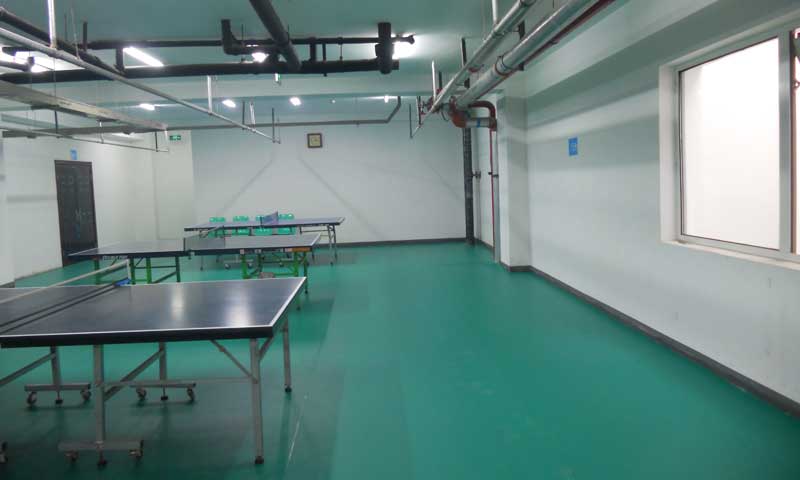 乒乓球馆专用地胶 乒乓球馆专用地胶企业和经销商唇齿相依