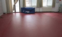 北京海淀北京师范大学乒乓球pvc香蕉视频污版免费下载