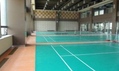 山东省济南全运村羽毛球地胶
