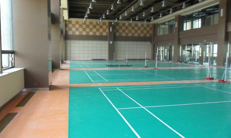 羽毛球塑胶香蕉视频污版免费下载图片 羽毛球塑胶香蕉视频污版免费下载有哪些特点?