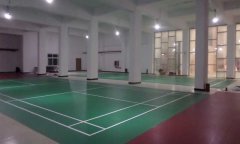 河北省霸州市羽毛球馆pvc运动香蕉视频污版免费下载