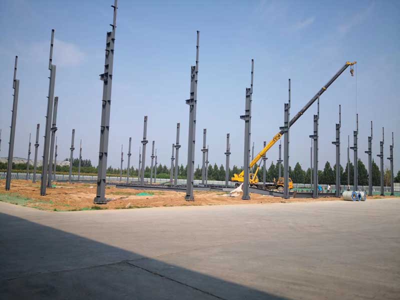 河北龙胶科技有限公司大事记